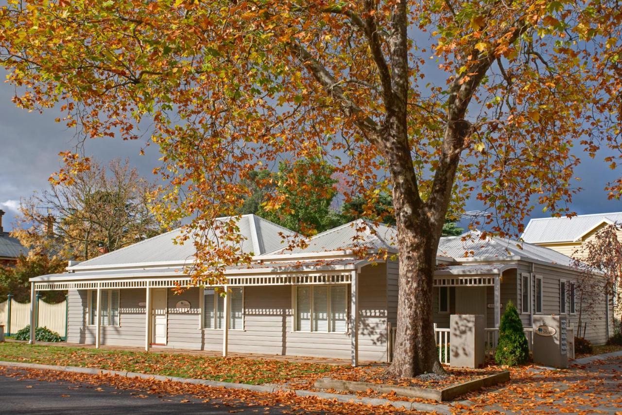 Mews Cottages Gisborne Dış mekan fotoğraf